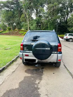 Toyota RAV4 2005 Gray