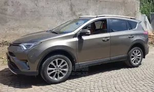 Toyota RAV4 2017 Gray