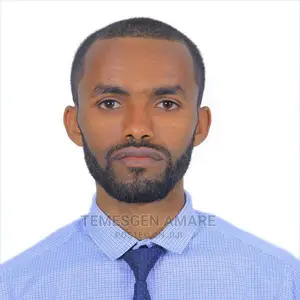 Accountant