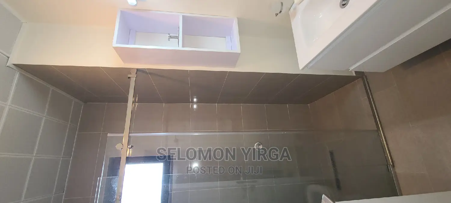 Furnished 3bdrm Apartment in Adids Abba, Kirkos for rent