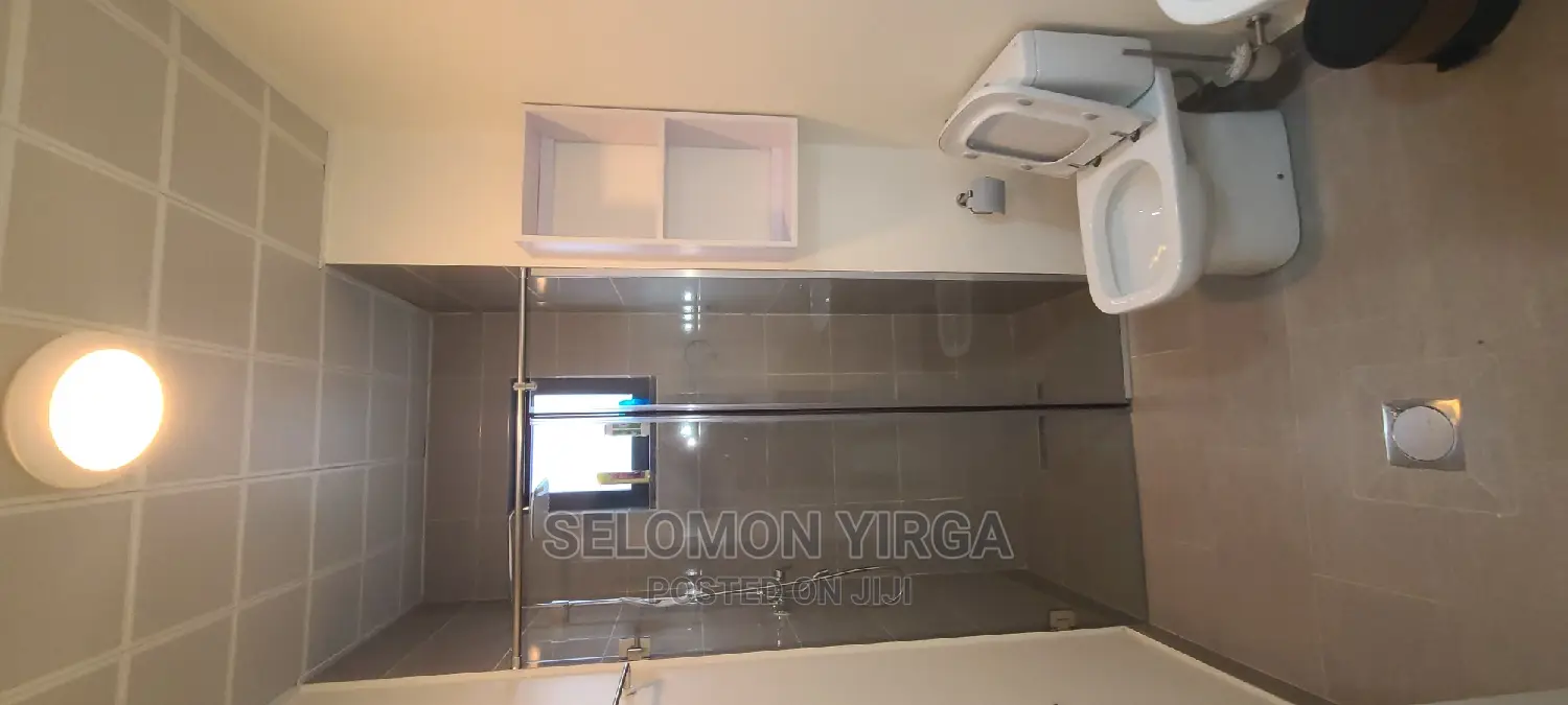 Furnished 3bdrm Apartment in Adids Abba, Kirkos for rent
