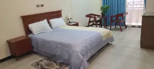 Furnished Studio Apartment in Adids Abba, Yeka for rent