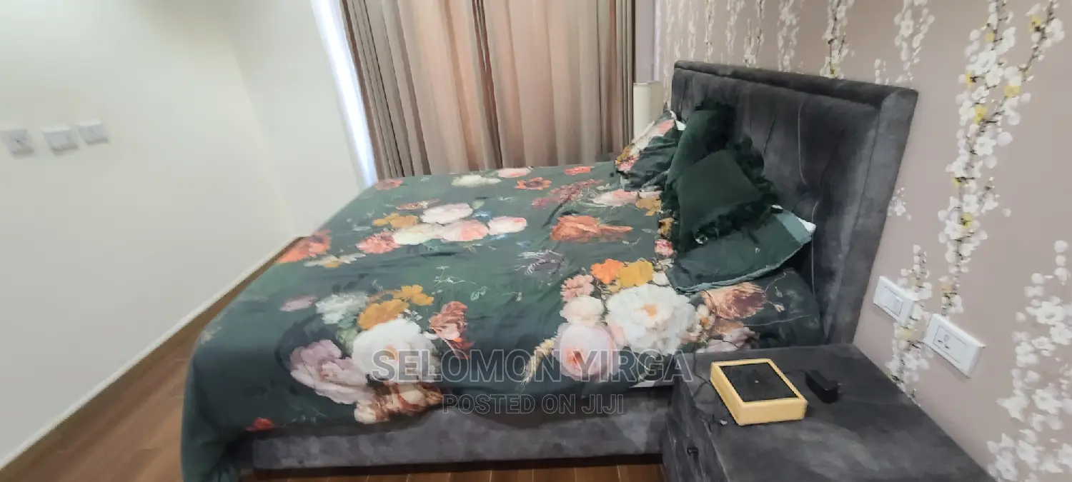 Furnished 2bdrm Apartment in Adidis Ababa, Kirkos for rent
