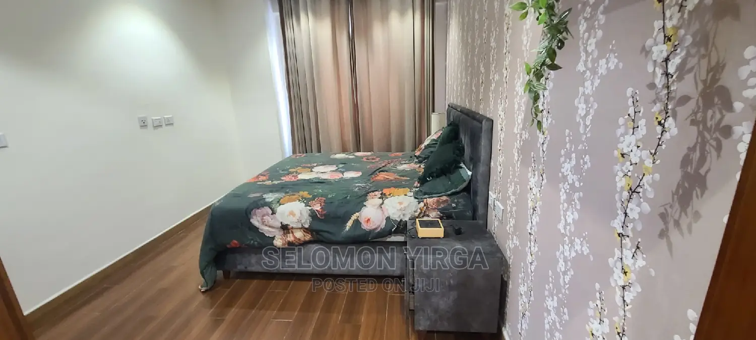 Furnished 2bdrm Apartment in Adidis Ababa, Kirkos for rent