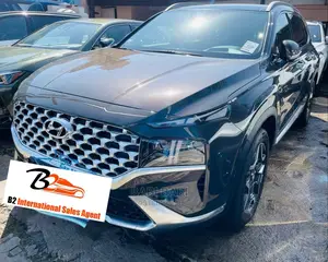 Hyundai Santa Fe 2022 Gray