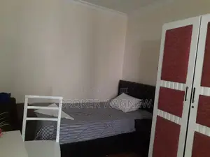 Furnished 1bdrm Apartment in Bole for rent