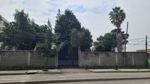 Commercial Property