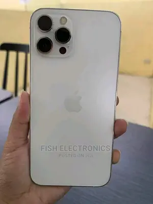 Apple iPhone 12 Pro Max 128 GB Silver
