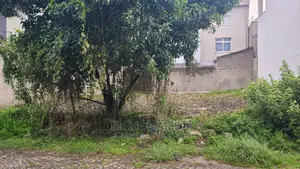 Land for Sela