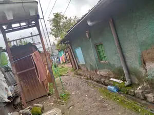 500M2 Land for Sale Around Ayertena የሚሸጥ ቦታ አየር ጤና አከባቢ