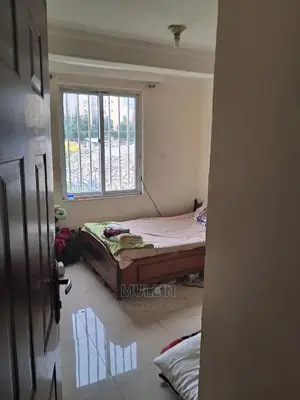 Furnished 3bdrm Condo in ኣባዶ ኮንደሚኒየም, Yeka for sale