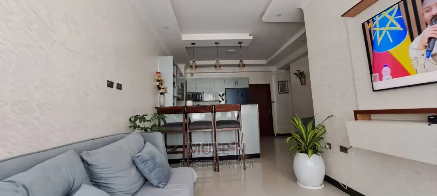 Furnished 2bdrm Apartment in Noah Figga, Bole for sale