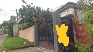 10bdrm House in Bole for sale