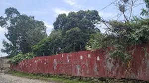 Land for Sela