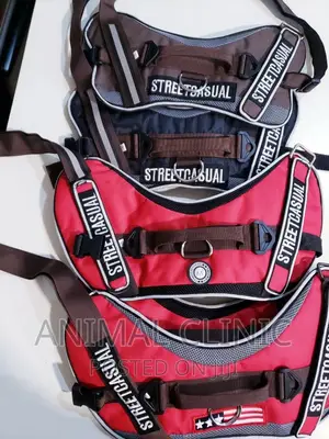 To Harness