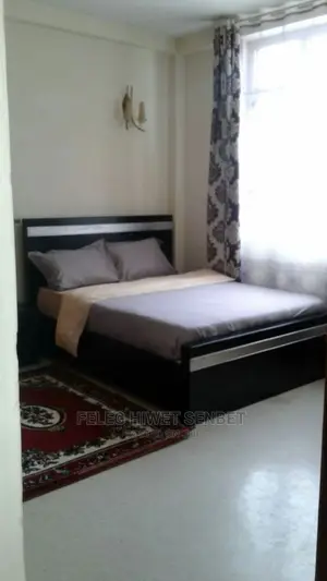 Furnished 7bdrm House in አአ, Bole for rent