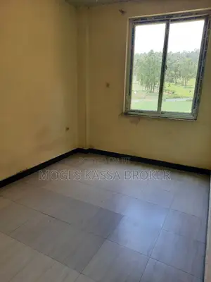 Furnished 2bdrm Condo in የሚሸጥ ኮንደሚንየም 4ኛ ወለል, Yeka for sale