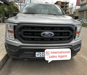 Ford F-150 2019 Silver