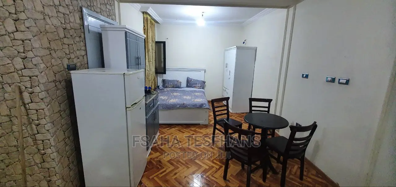 Furnished Studio Apartment in Studio House For, Yeka for rent