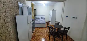 Furnished Studio Apartment in Studio House For, Yeka for rent