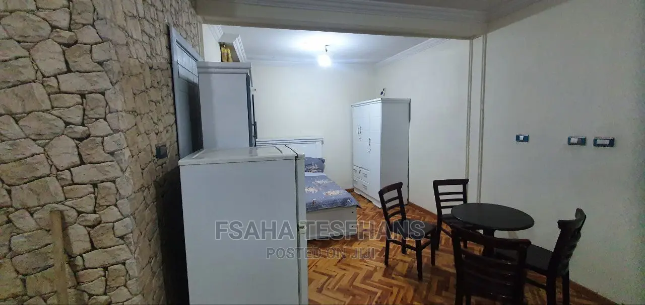 Furnished Studio Apartment in Studio House For, Yeka for rent