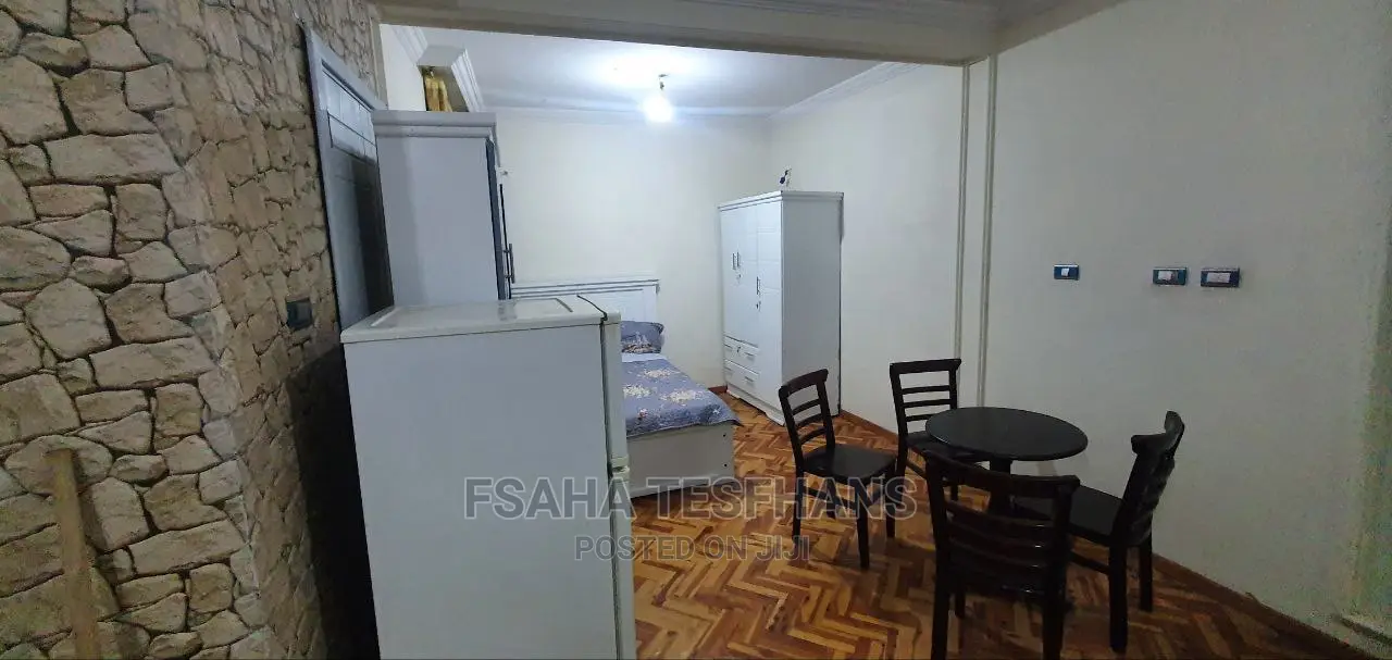 Furnished Studio Apartment in Studio House For, Yeka for rent