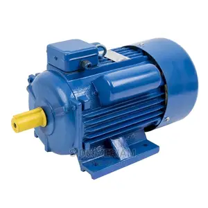 3 Hp Induction Motor