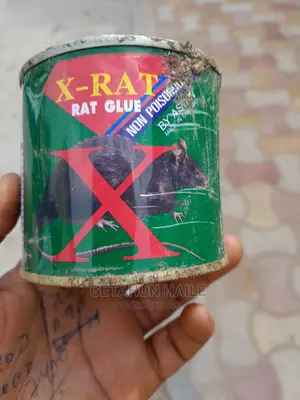 X Rat አይጥመከላከያ