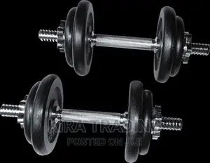 Cast Iron Dumbbell and Barbell