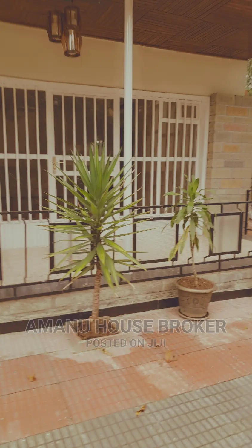 Urgent Rent for Office and Clinic