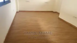 4bdrm Penthouse in Addis Abeba, Bole for rent