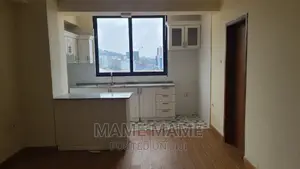 4bdrm Penthouse in Addis Abeba, Bole for rent
