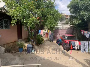 ሰሜን ማዘጋጃ 250 ካሬ ሜትር