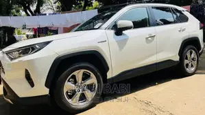 New Toyota RAV4 2023 White