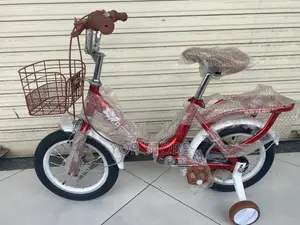Bicycle New Girl Kids Creeper Bike