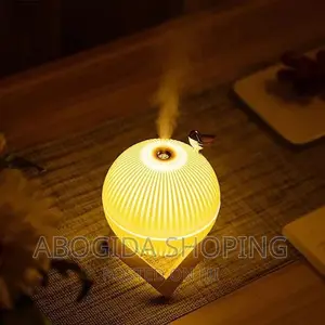 Lark Air Humidifier With Led Light