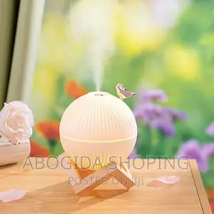Lark Air Humidifier With Led Light