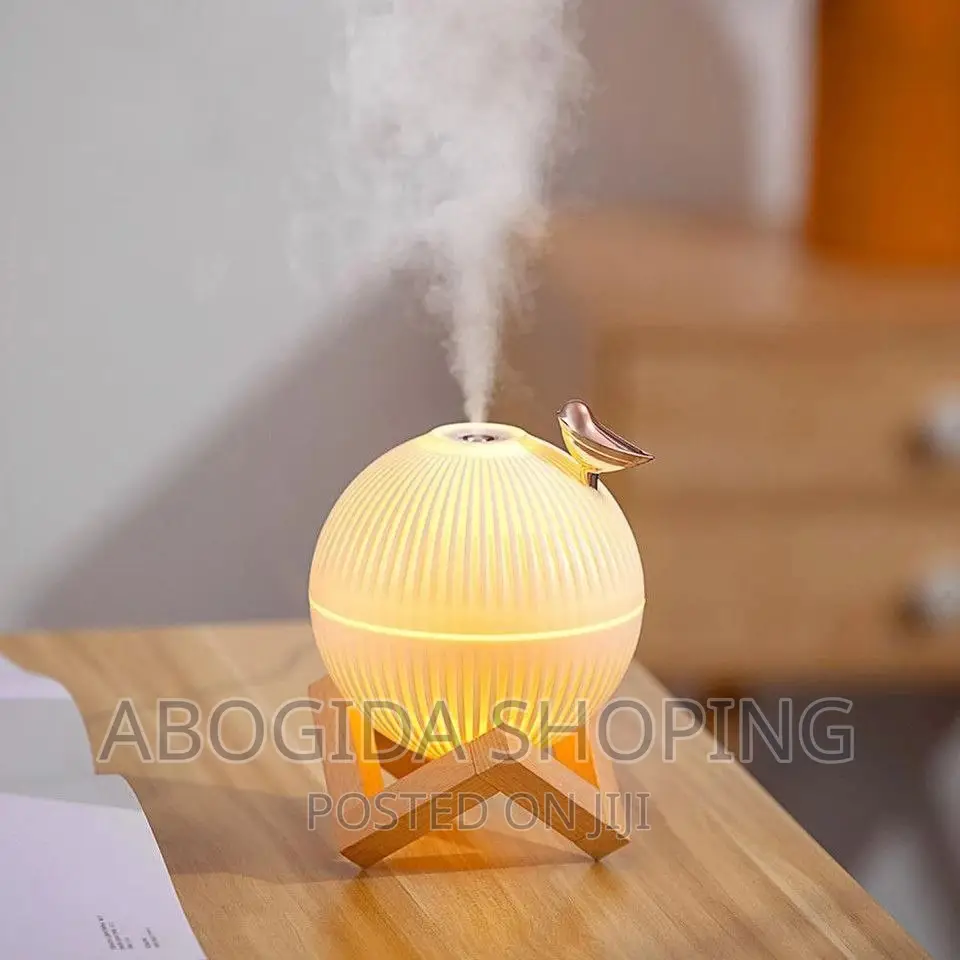 Lark Air Humidifier With Led Light