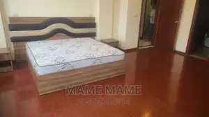 Furnished 4bdrm Penthouse in Addis Abeba, Bole for rent