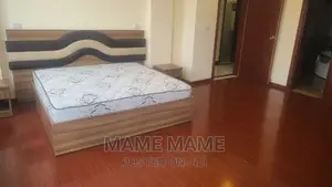 Furnished 4bdrm Penthouse in Addis Abeba, Bole for rent