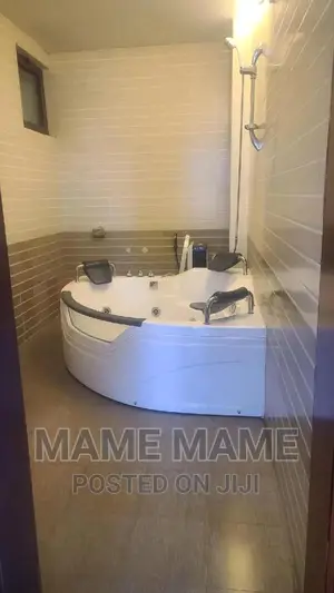 Furnished 4bdrm Penthouse in Addis Abeba, Bole for rent