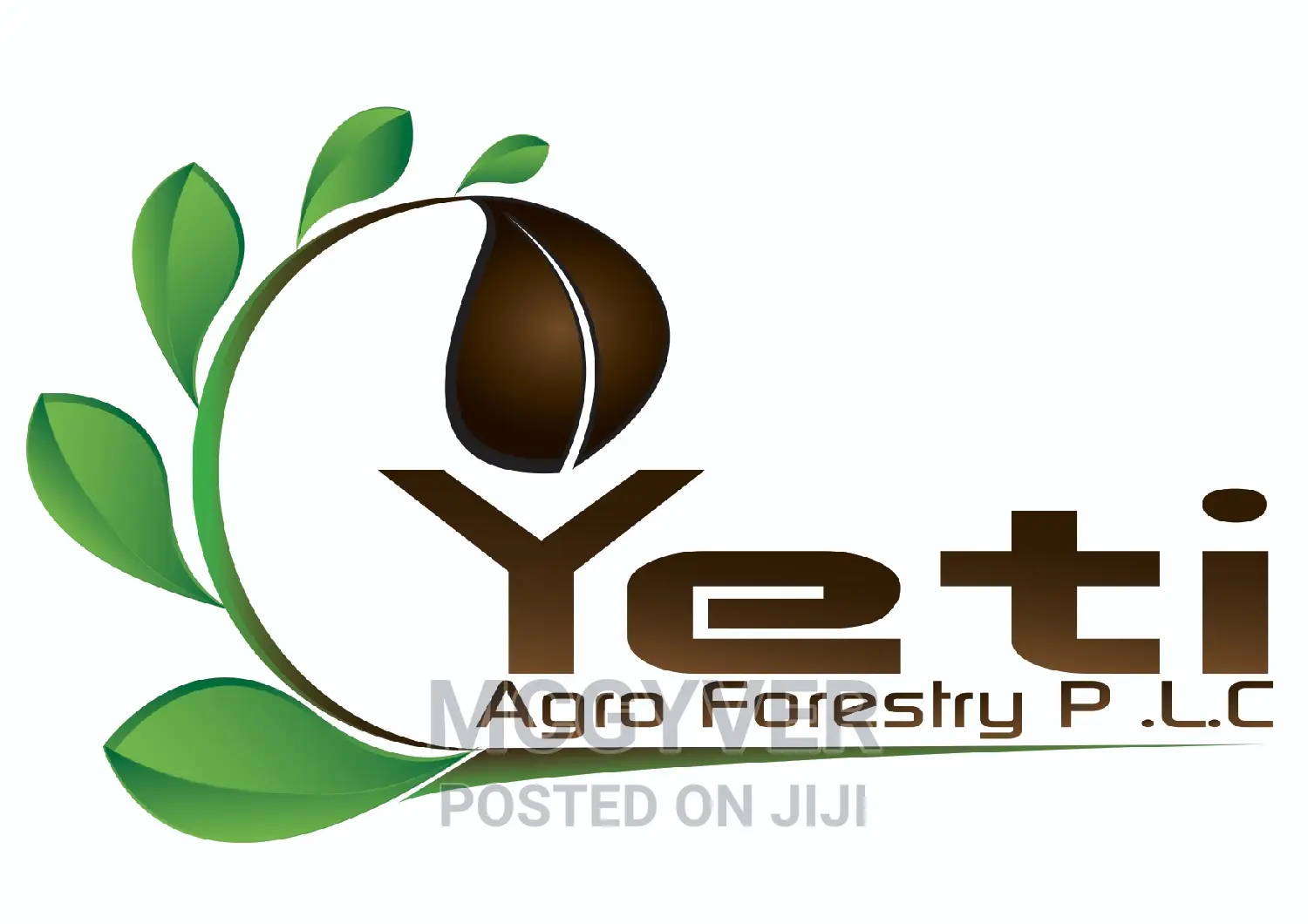 Graphics Designer