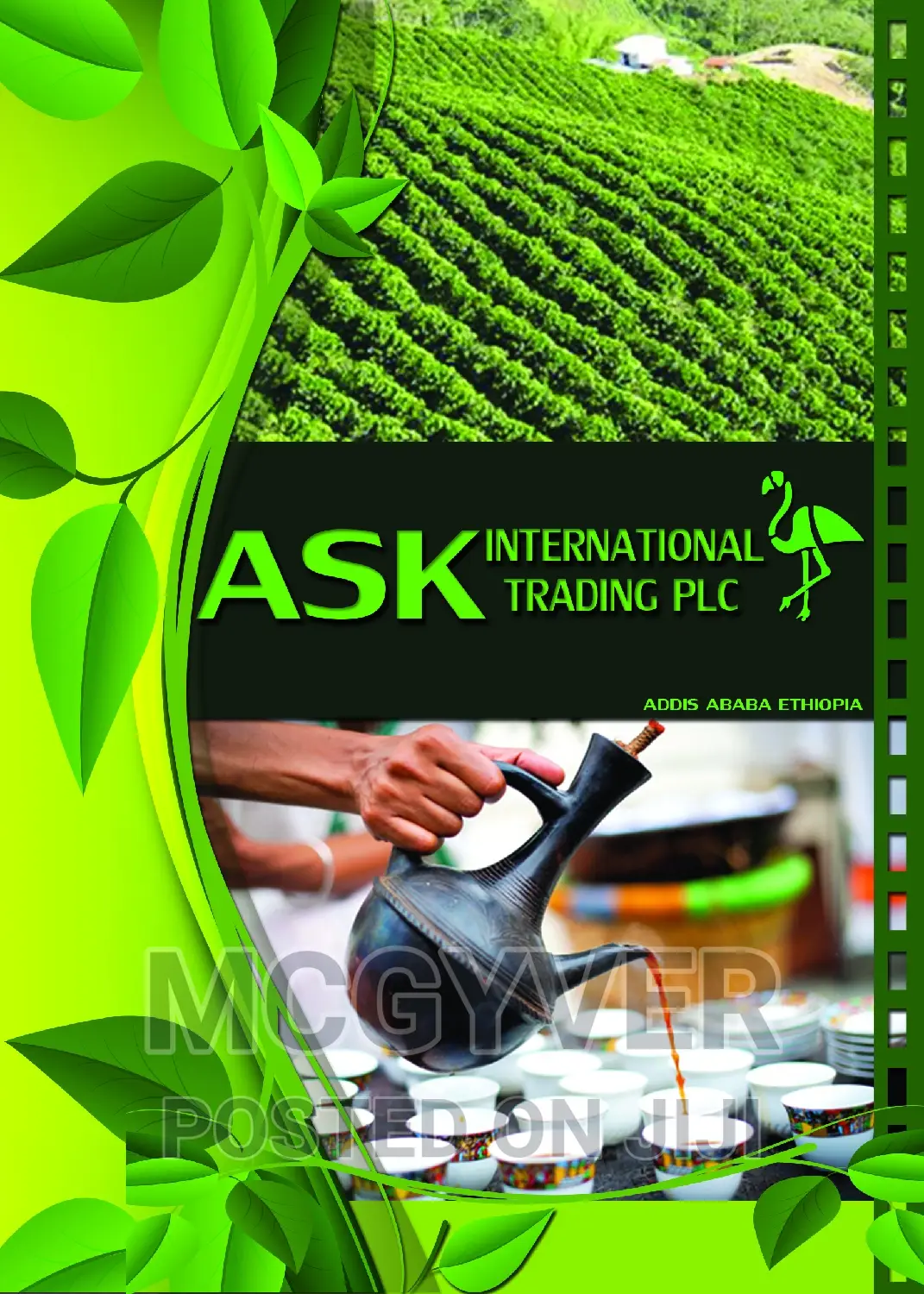 Graphics Designer