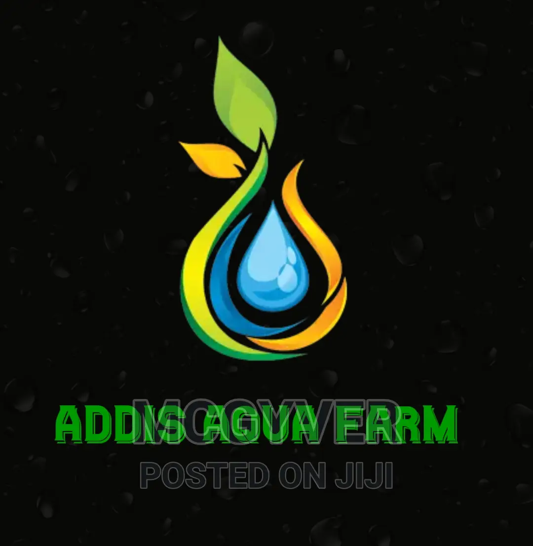 Graphics Designer