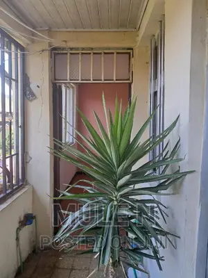 Furnished 1bdrm Condo in Abado Condominium, Yeka for sale