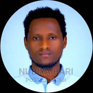 Civil Engineer