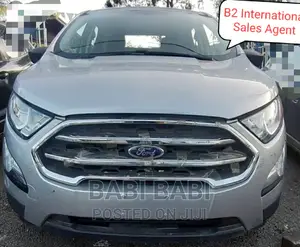 New Ford Ecosport 2022 Silver