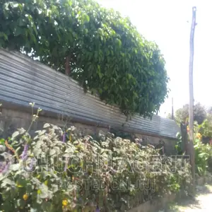 Commercial Property Land Sale
