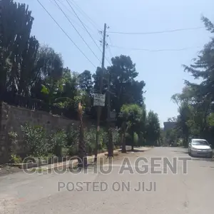 Commercial Property Land Sale