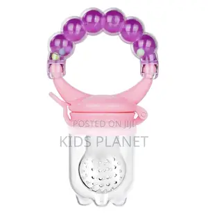 Baby Fruit Feeder And Pacifier